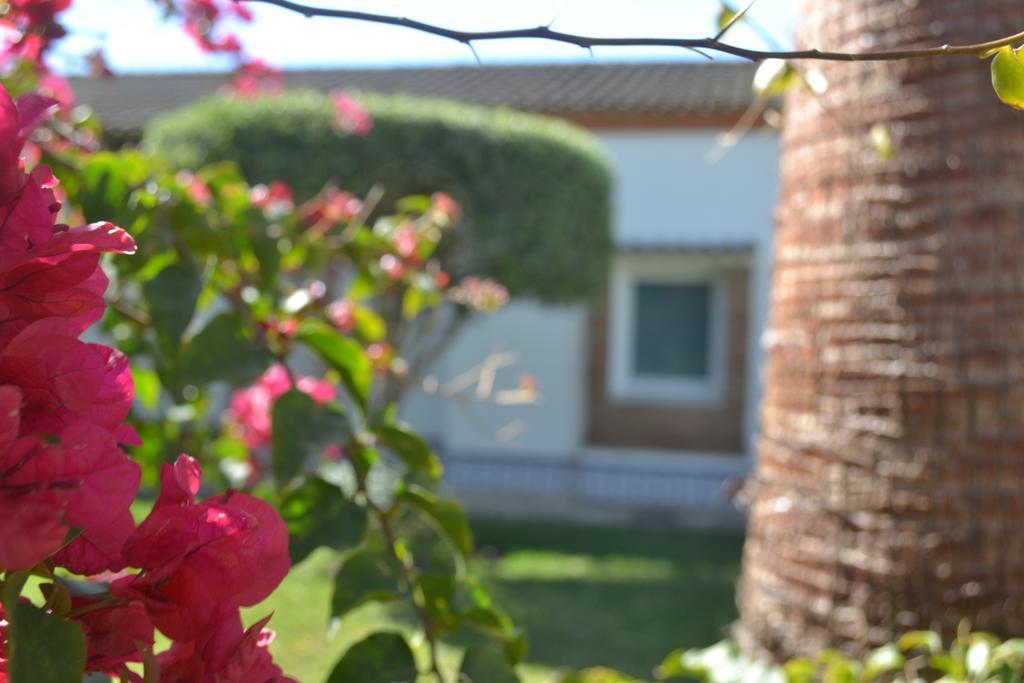 Casa Luz Del Faro Bed & Breakfast 밀야스코스타 외부 사진